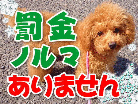 罰金・ノルマありません