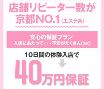 本当に稼げるか不安…な方向けに保証プランもあります!
