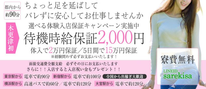 脱がされたい人妻 木更津店の求人