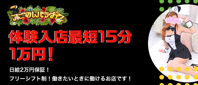 アニマルパラダイス
