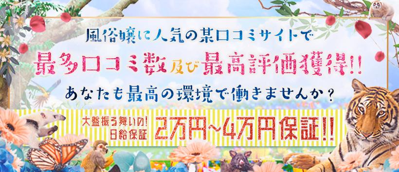アニマルパラダイス