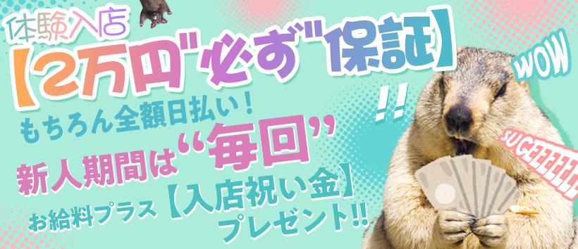 アニマルパラダイス
