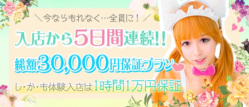アニマルパラダイス