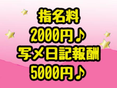 指名料2,000円、写メ日記報酬5,000円♪
