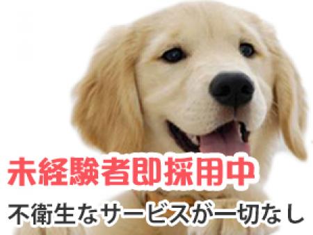 未経験者は即採用中です。