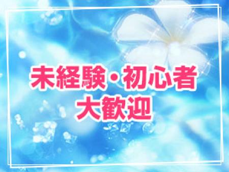 未経験者大歓迎