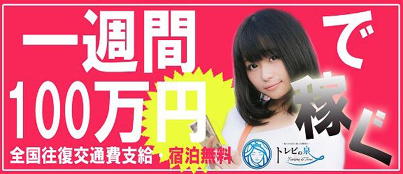 トレビの泉の求人