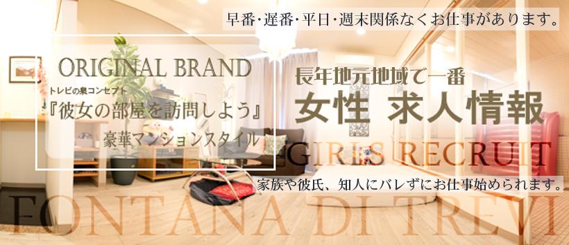 トレビの泉の求人