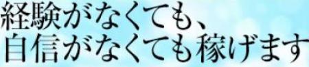 経験がなくても稼げます♪