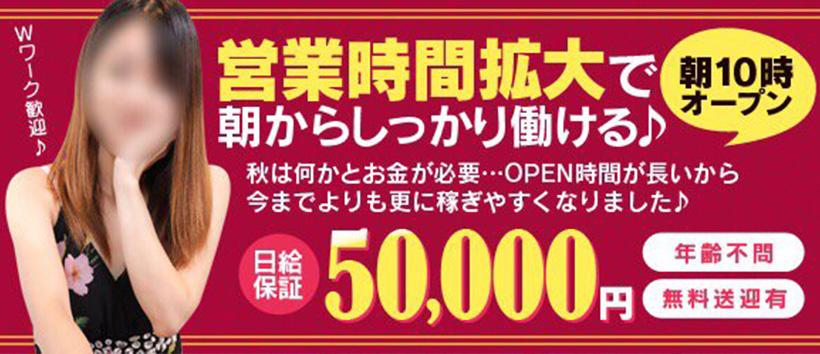 ジャックと豆の木の求人
