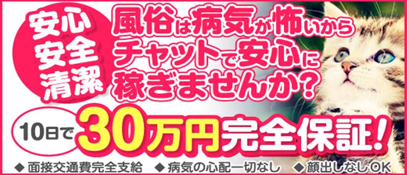 チャットポイントの求人