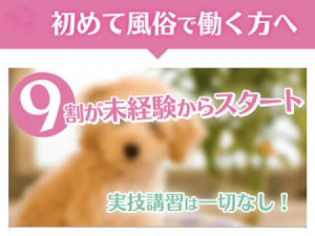 面接について