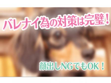 お仕事について