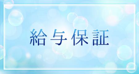 給与保証有り