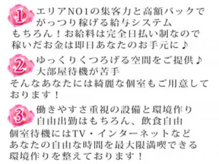 給与保証制度有り
