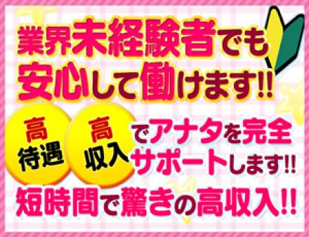 未経験でも安心して働けます