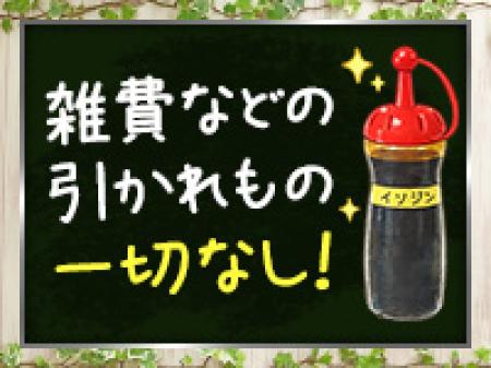 雑費などひかれものナシ!