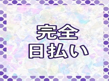 完全日払い制