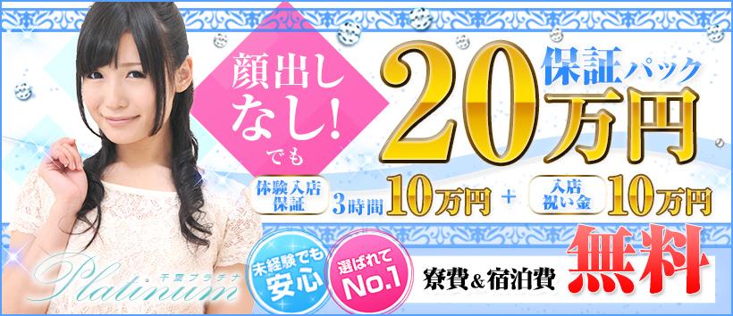千葉プラチナの求人