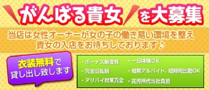 奥様だよ!全員集合の求人