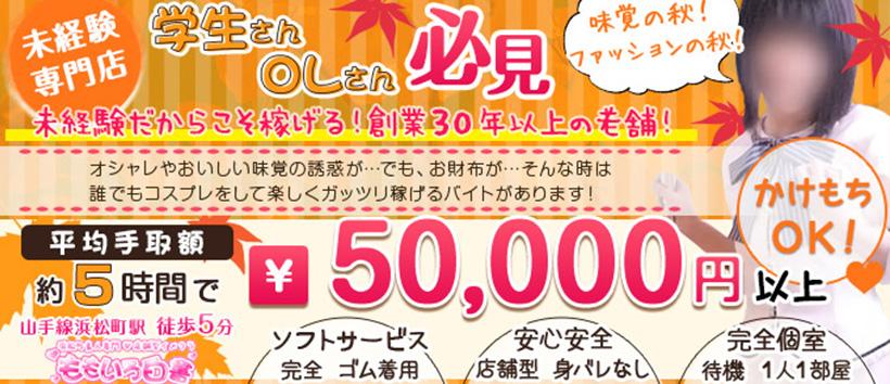 ももいろ白書の求人