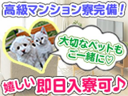 楽しく稼ぎたい女性大募集!未経験者の方も大歓迎です!