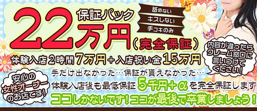 Tバックエステ aineの求人