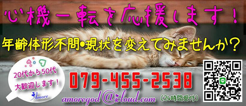 人妻専科 アモーレ