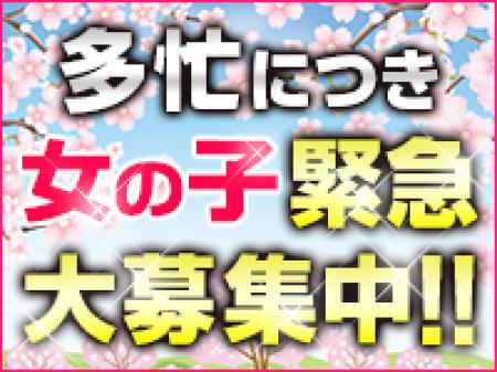 女の子緊急大募集!!
