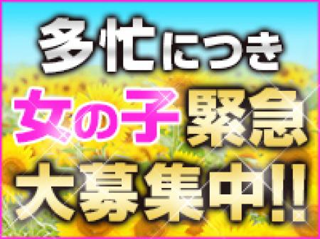 女の子緊急大募集!!