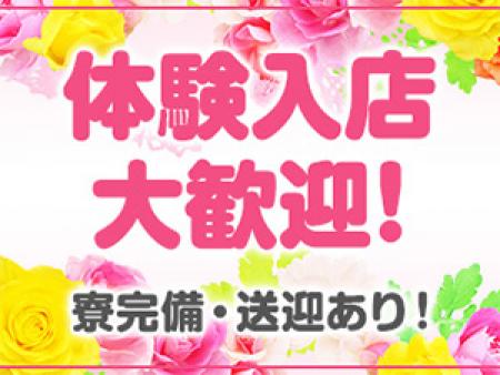 未経験の方、不安な方はまずは1日だけの体験入店もできます!!