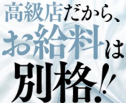 高額のバック料金を実現しております♪