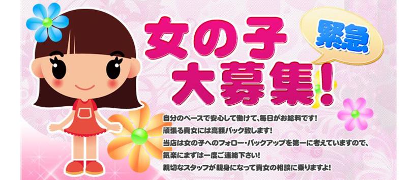 学園ぷりんすの求人