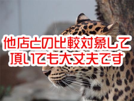 もちろんです
