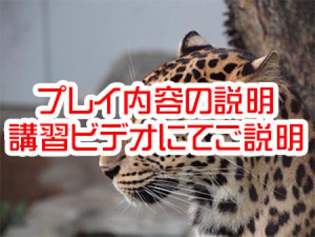 何でもご相談ください♪