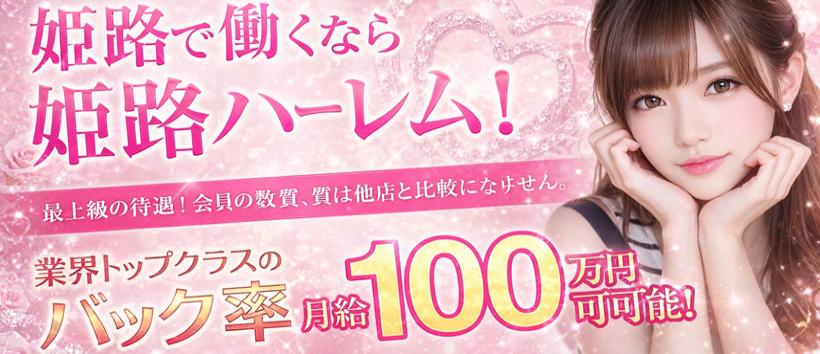 ハーレムの求人