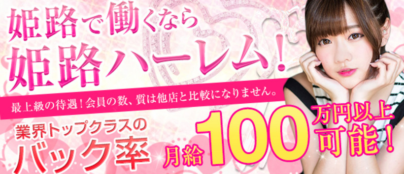 ハーレムの求人