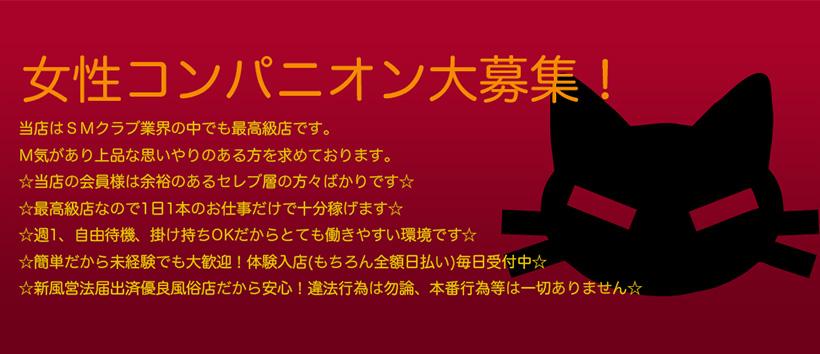 ザ・スレイブの求人