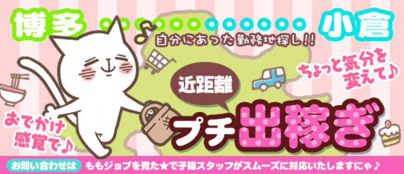 子猫カフェ博多店