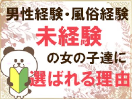 【本当の】ソフトサービス店
