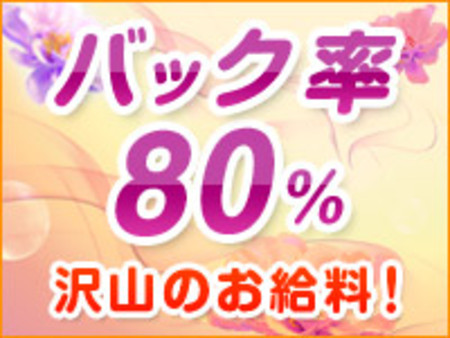 バック率脅威の80%!!