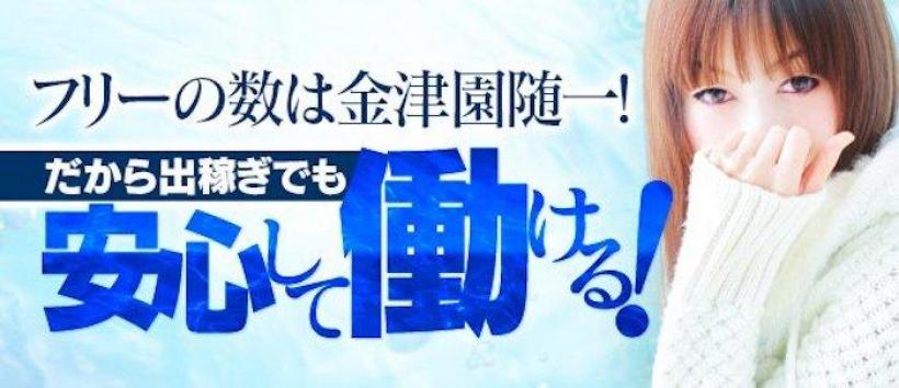 イビサ&パートナーの求人