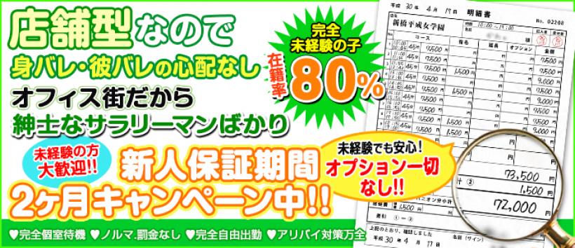 新橋平成女学園の求人