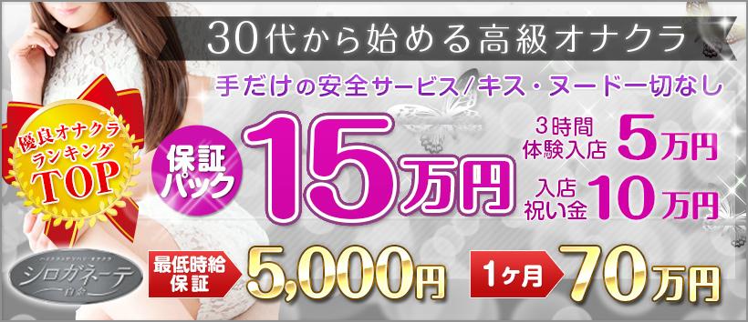 シロガネーテ