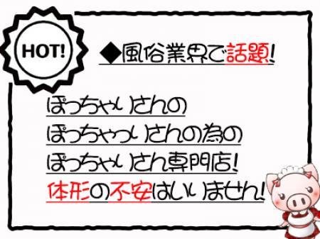 ぽっちゃりさんが主役です