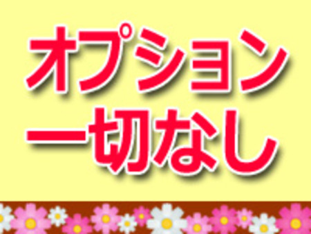 過激なオプション一切ナシ!