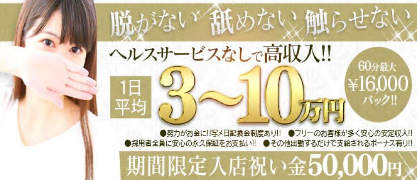 ひめゆりの求人
