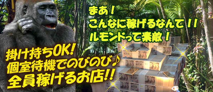 ルモンドの求人