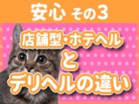 ◆◆◆◆安心:その3◆◆◆◆