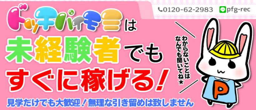 ドッチパイモミの求人